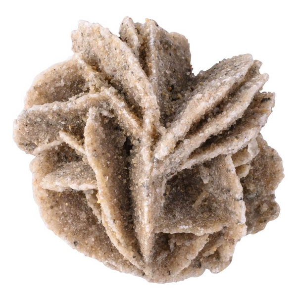 Natural Desert Sand Rose
