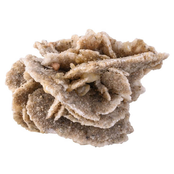 Natural Desert Sand Rose