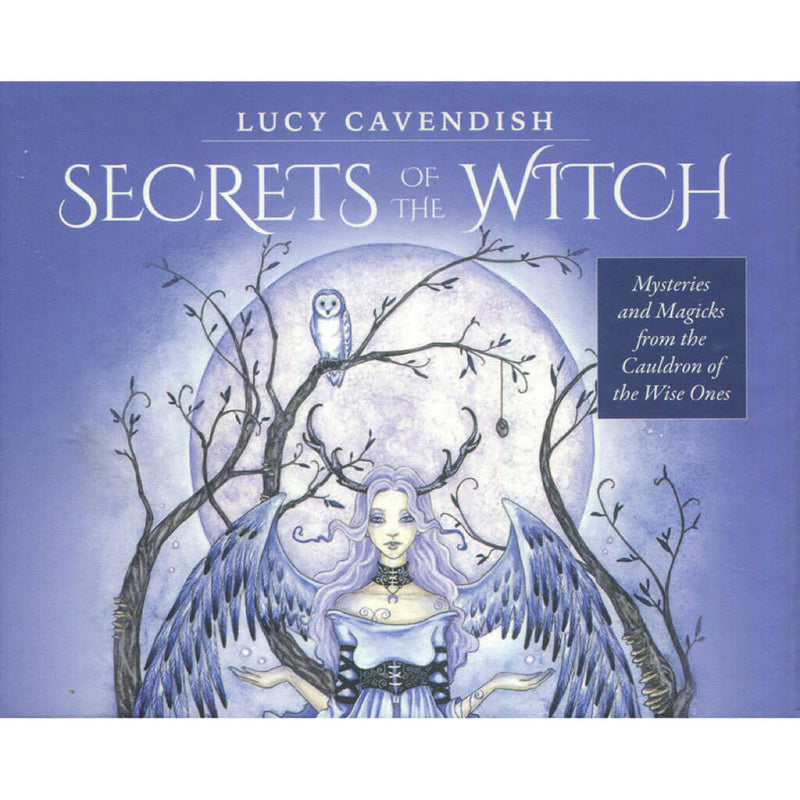 Secrets of the Witch Wisdom Mini Cards