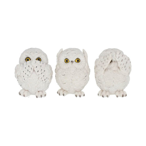 Three Wise Owls Set