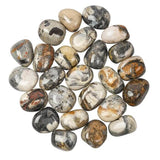 Silver Leaf Jasper Tumblestone