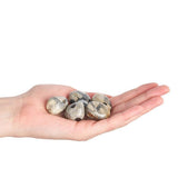 Silver Leaf Jasper Tumblestone