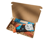 Socks & Incense Gift Set - Blue Buddha & Lotus