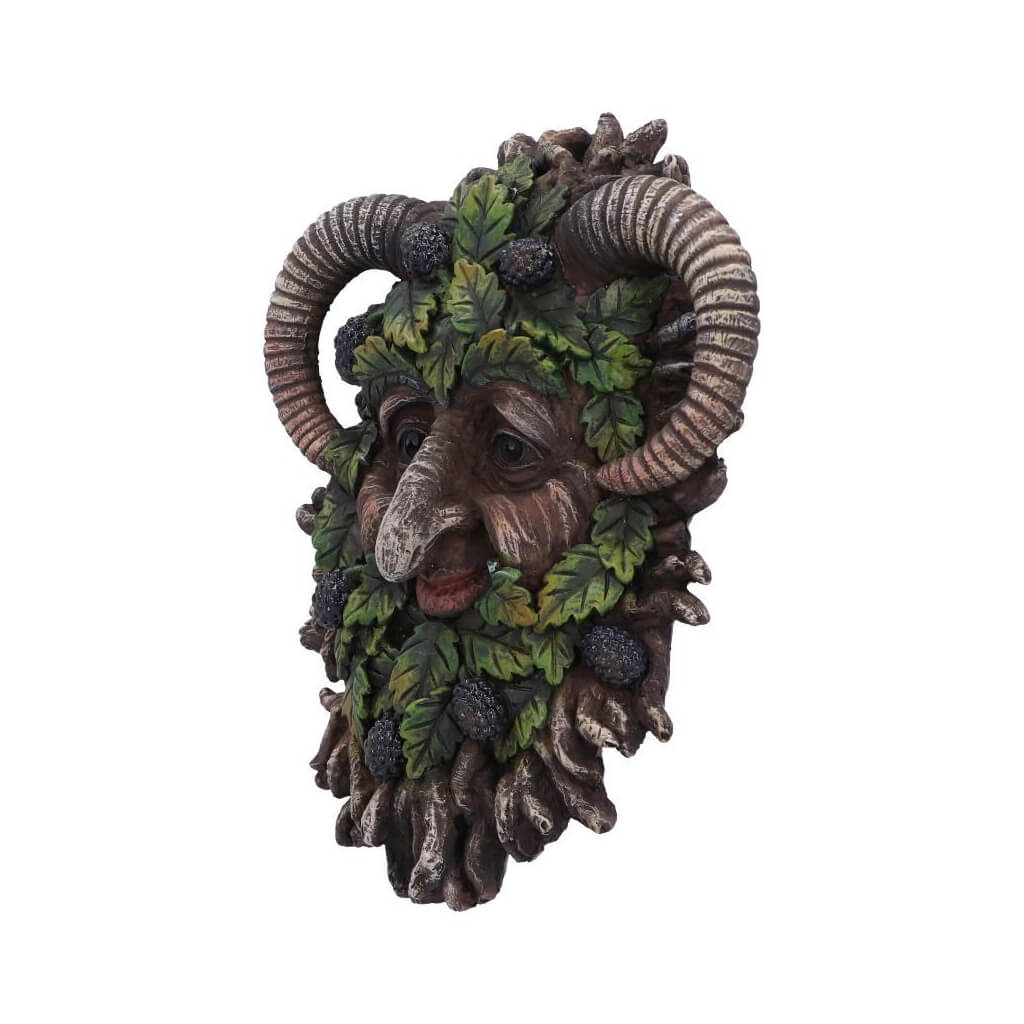 Spruce Wall Mounted Tree Spirit by Nemesis Now | Clouds