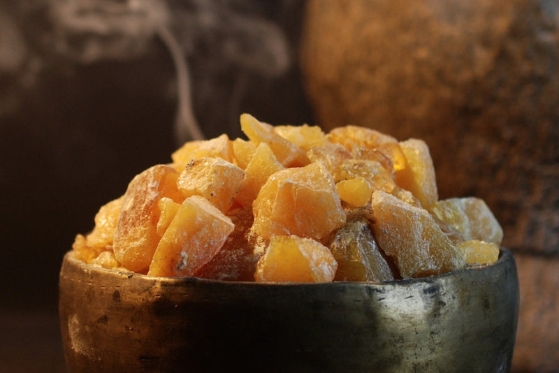 Spruce Resin Sacred Herb