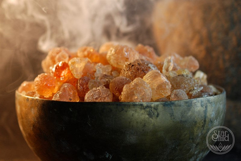 Sacred Herbs & Resins - Acacia Gum