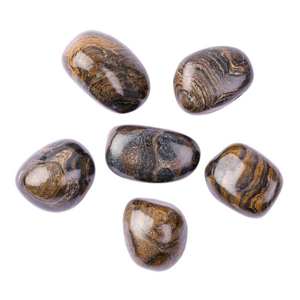 Stromatolite Tumblestone