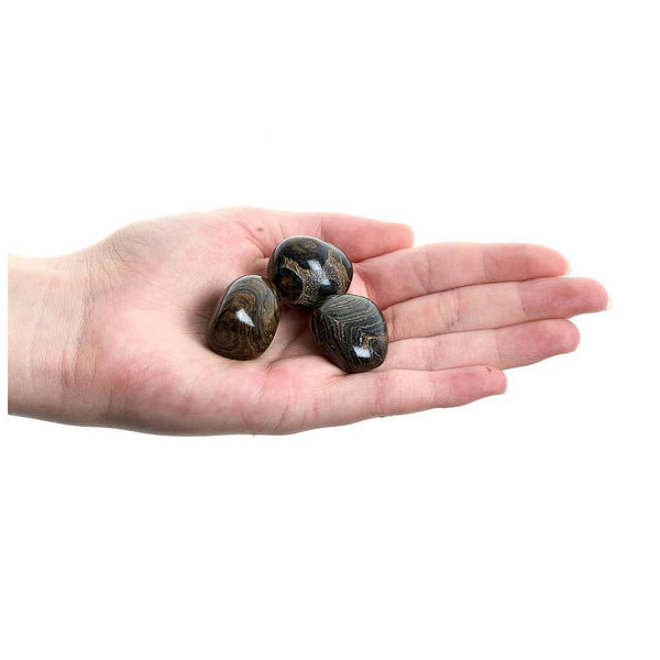 Stromatolite Tumblestone