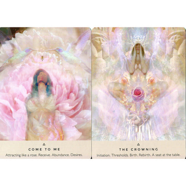 The Rose Oracle Cards