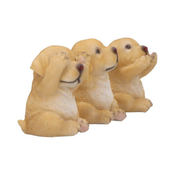 Three Wise Golden Labradors Set