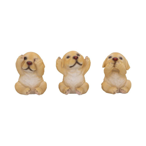 Three Wise Golden Labradors Set