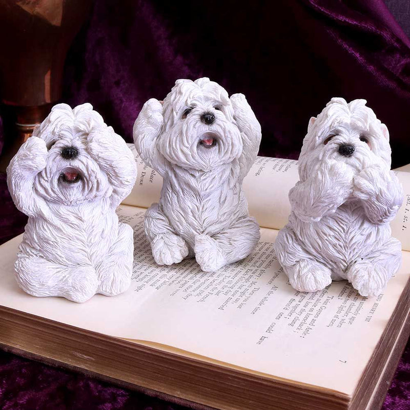 Three Wise Westies Set