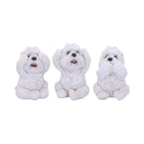 Three Wise Westies Set