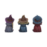 Three Wise Witches Set