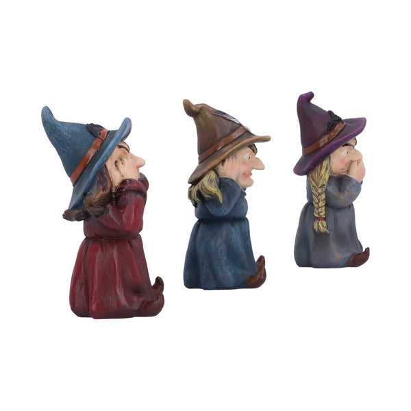 Three Wise Witches Set