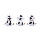 Three Wise Cows Set