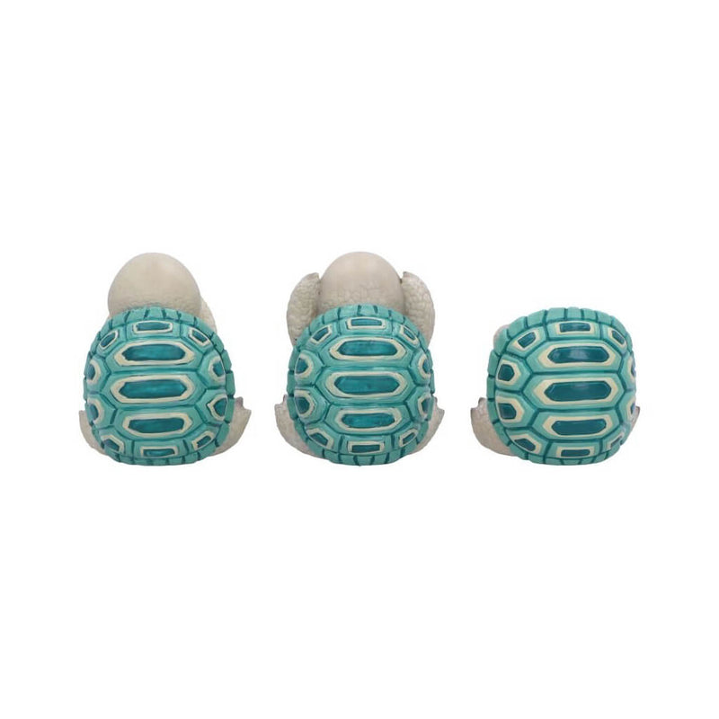Three Wise Tortoises Set