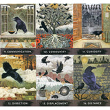 Urban Crow Oracle Cards