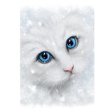 Winter Cat Christmas Greeting Card