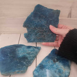 Polished Apatite Slice