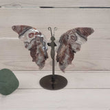 Crazy Lace Agate Butterfly on Stand