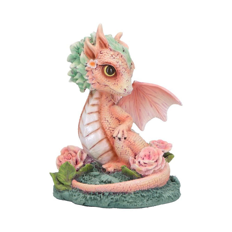 Flower Dragon - Carnation