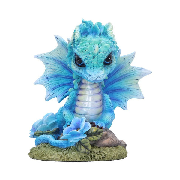 Flower Dragon - Blue Poppy