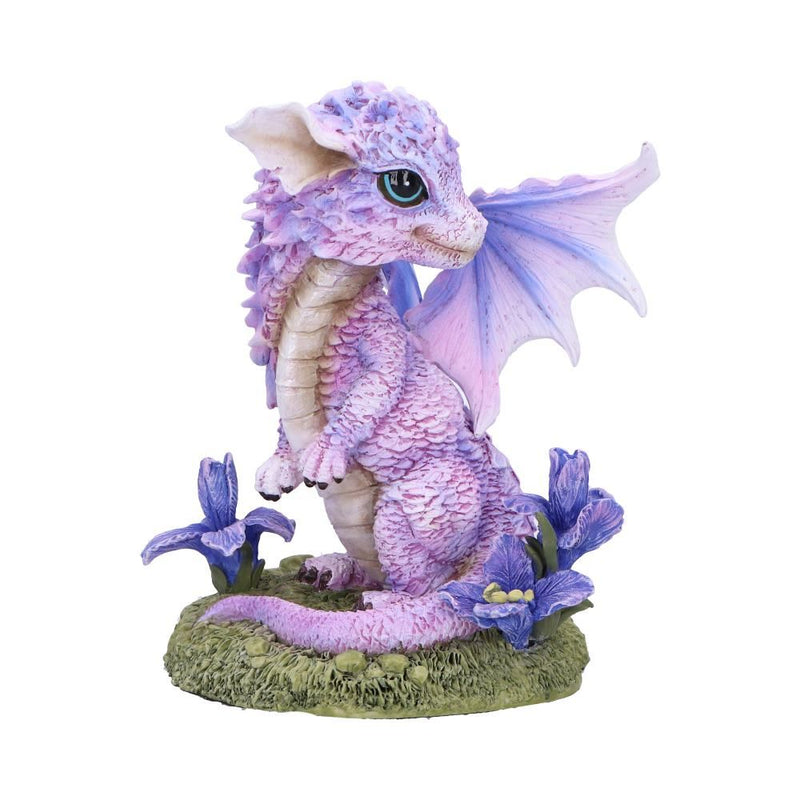 Flower Dragon - Iris