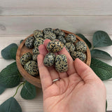Dalmatian Jasper Tumblestone