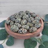Dalmatian Jasper Tumblestone