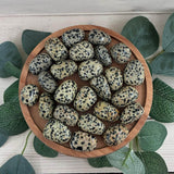 Dalmatian Jasper Tumblestone