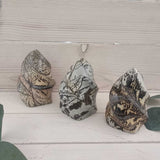 Dendritic Picture Jasper Flame