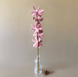 East of India Pink Daisy Flowers Felt Branch Decoration