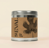St Eval Fig Tree Tin Candle