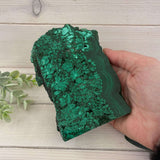 Malachite Polished Slice - Large