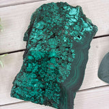 Malachite Polished Slice - Large