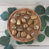 Picture Jasper Tumblestone