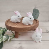 Snow Quartz Bunny Carving