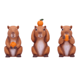 Three Wise Capybaras Set