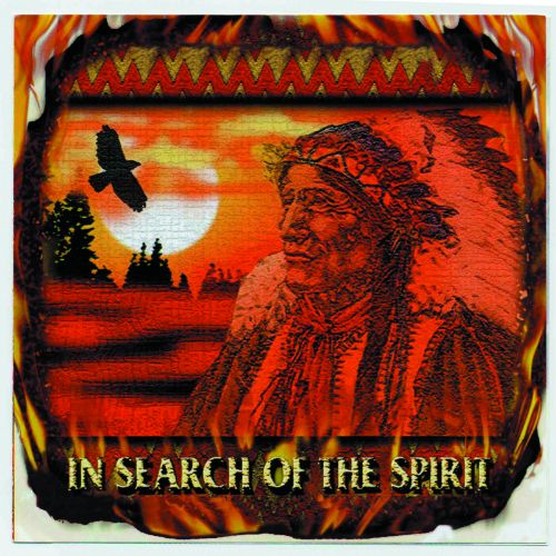 In Search of the Spirit CD by Global Journey