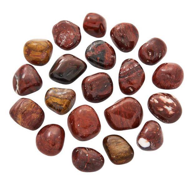 Petrified Wood Tumblestone