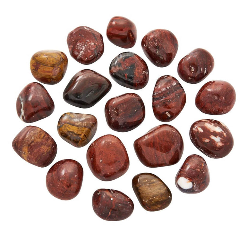 Petrified Wood Tumblestone