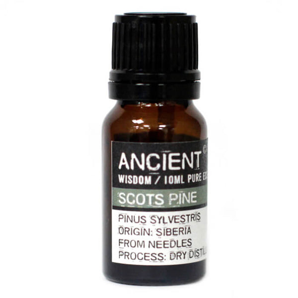 Pine (Scots Pine) Essential Oil