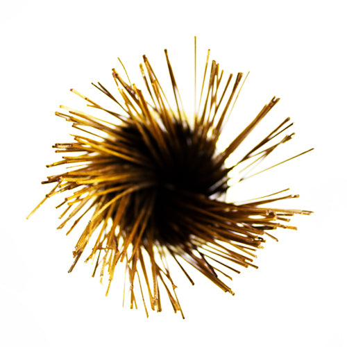 Wildberry 10 inch Blend 22 Incense Sticks
