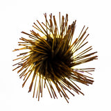 Wildberry 10 inch Cinnamon Incense Sticks