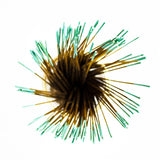 Wildberry 10 inch Forest Dew Incense Sticks