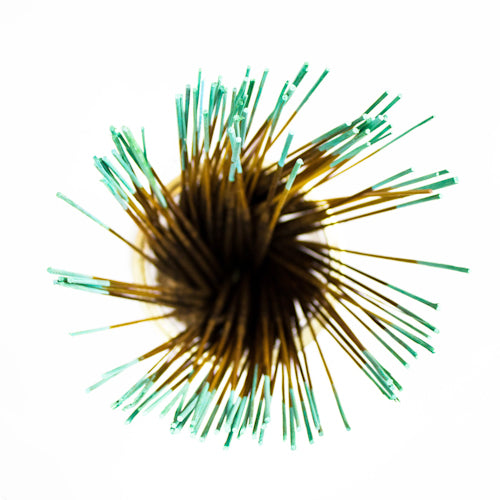 Wildberry 10 inch Forest Dew Incense Sticks
