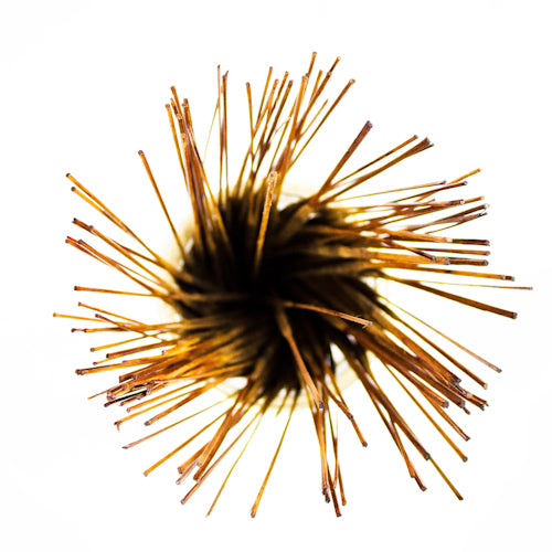 Wildberry 10 inch Patchouli Incense Sticks