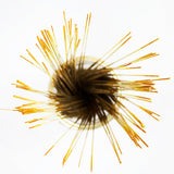 Wildberry 10 inch Sunshine Incense Sticks