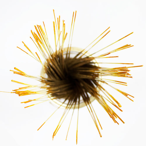 Wildberry 10 inch Sunshine Incense Sticks